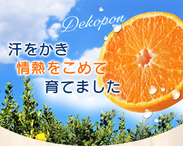 ＼光センサー選別／ 【訳あり】ちょこっと訳あり不知火デコポン 約5kg【ご家庭用】 先行予約 訳あり デコポン みかん ※2026年2月中旬より順次発送予定（お届け日指定不可）【nuk120D】 