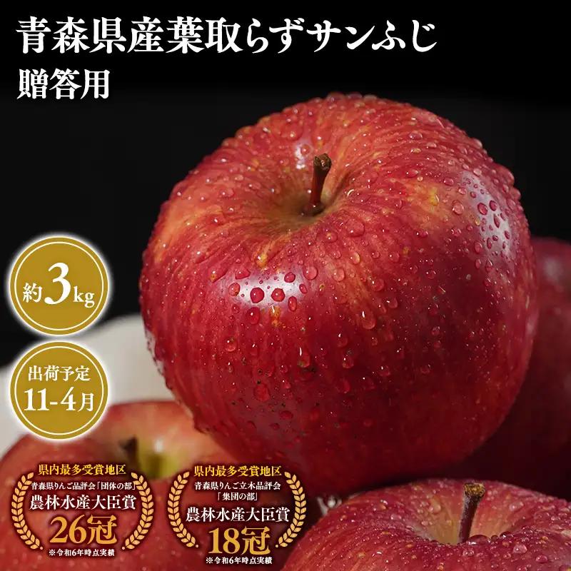 りんご 贈答用 葉とらずサンふじ3kg【hi-0053-050】