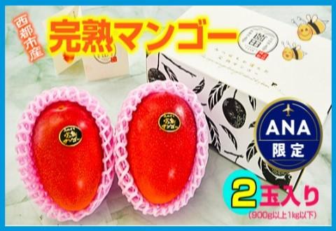 【ANA限定】西都市産完熟マンゴー2玉（900g～1kg）薗田農園 【先行予約】＜1.8-29＞2026年発送 果物 フルーツ くだもの 宮崎県 西都市