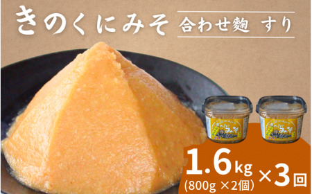 【3カ月定期便】きのくにみそ（合わせ麹）すり 計4.8kg（1.6kg×3回） / 味噌 ミソ 生みそ 調味料 こし味噌 みそ汁 和歌山県 田辺市 【kyj024-tk】
