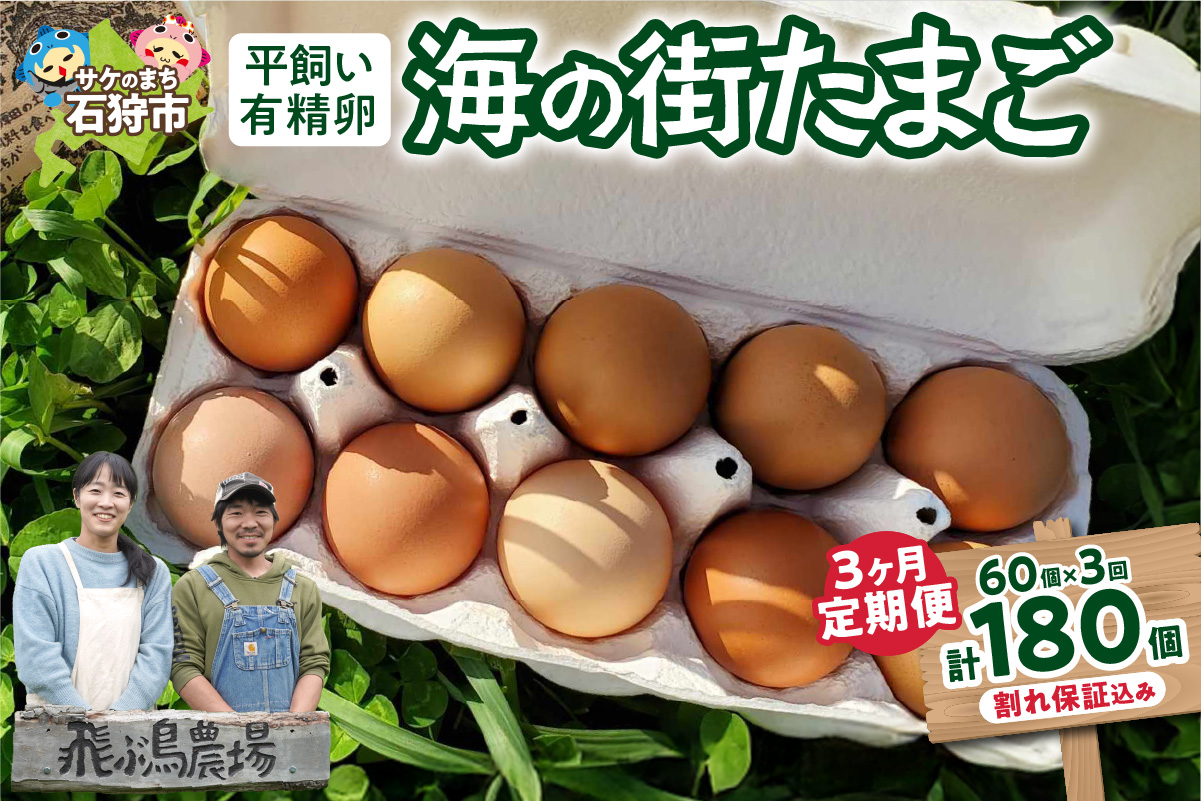 【定期便】飛ぶ鳥農場　海の街たまご　60個×3か月