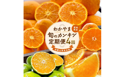 和歌山 旬のカンキツ定期便S (ご家庭用) ※北海道・沖縄・離島への配送不可 / 定期便 青切り有田みかん 完熟有田みかん 春の柑橘 初夏の柑橘 全4回 フルーツ