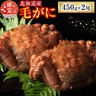 ふるさと納税 根室市 【年内配送可○】毛がに450g×2尾 C-54009