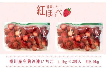 いちご掛川産 紅ほっぺ 冷凍イチゴ 1.1ｇ×2袋 2.2㎏ ( 掛川産 完熟冷凍いちご ・ ヘタなし )・水野農園  6377