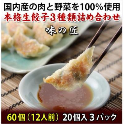 ふるさと納税 塩竈市 本格生餃子3種類詰め合わせ60個(12人前)　