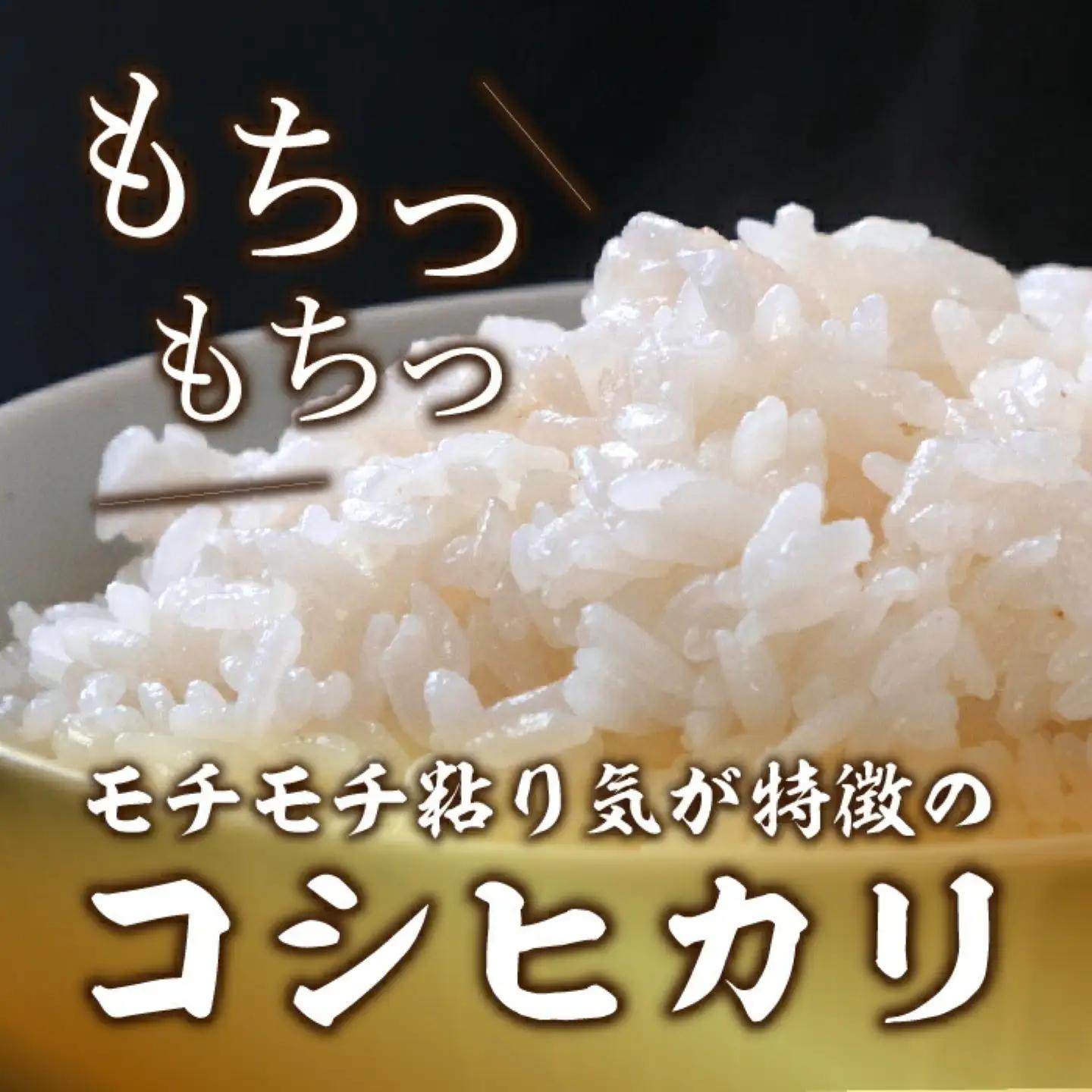 コシヒカリ10kg（5kg×2袋）＜都留市産＞【令和7年産】　　お米　米　おコメ　コメ　コシヒカリ　こしひかり