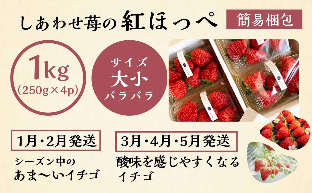 【定期便3回】いちご贅沢 紅ほっぺ 1kg ( 250g × 4p ) しあわせ苺 サイズ バラバラ 訳あり 訳アリ 含む 農園直送 フルーツ 苺 イチゴ 人気 本巣市 果物 先行予約 family農