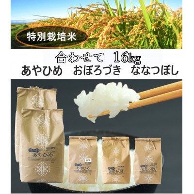 特別栽培米あやひめ白米10kg・玄米2kg・おぼろづき白米2kg・ななつぼし白米2kg_01766【1155635】