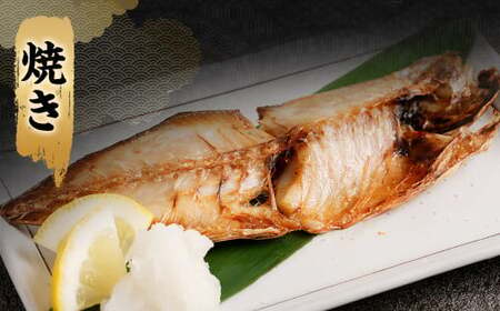 【訳あり規格外】  業務用 あじ 干物 どーんと！ 3kg アジ 鯵 魚