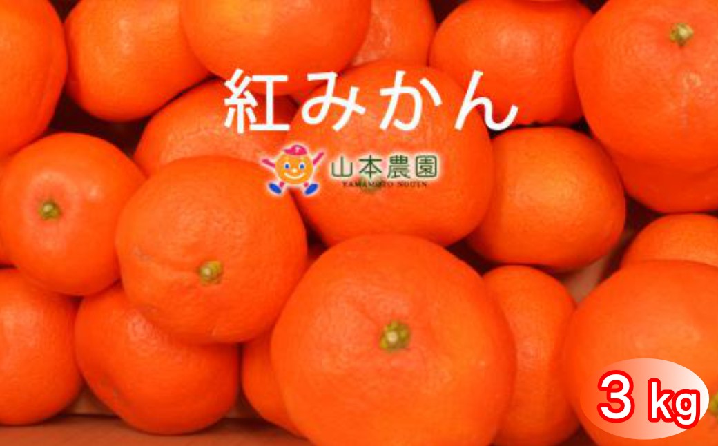 
                  太良町 山本農園の「紅みかん」 3kg
                