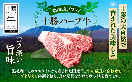 北海道 十勝 ハーブ牛  サーロインステーキ 200g 《足寄町》【株式会社ノベルズ食品】[BEAQ046]