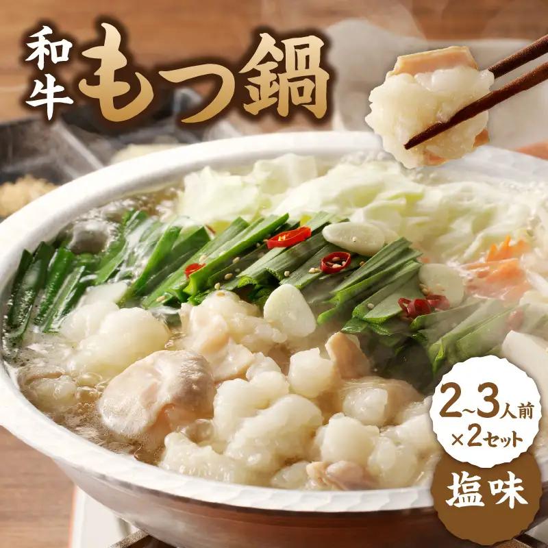 国産和牛もつ鍋（塩味）2～3人前×2セット ／ もつ鍋【B067】