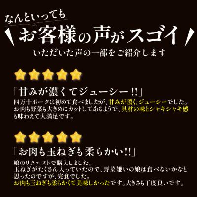 ふるさと納税 四万十町 四万十産ブランド豚のみ使用! あぐり窪川の具だくさん豚まん |  | 01