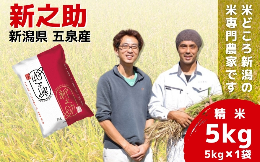 
            令和6年産 新米「わくわく農場」の五泉産新之助 精米 5kg （5kg×1袋）新潟県 五泉市 わくわく農場
          