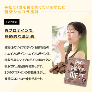 G-120　プロテインDIET贅沢ショコラ風味 300g×2個セット