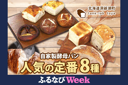 【ふるなびWEEK対象】自家製酵母パン 人気の定番セット Mサイズ パン 道産 小麦 惣菜パン 菓子パン フォカッチャ ベーグル プレッツェル 角食 山食 手づくり 自家製 酵母 人気 詰め合わせ 冷凍 北海道 洞爺湖町 FN-Limited-WE