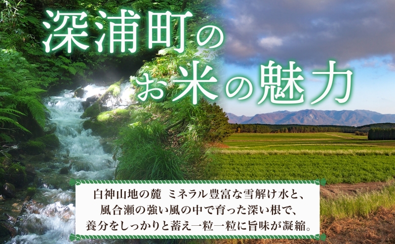 青森ブランド米 まっしぐら 玄米 1袋 5kg 米 お米 コメ こめ 食品 ご飯 ごはん 和食 香り 炊き立て 国産 送料無料 つややか 青森県 深浦町産 