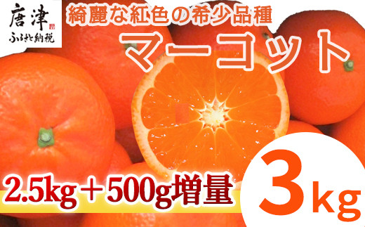 『先行予約』【令和9年2月中旬発送】マーコット(ハウス栽培) 唐津産 3kg みかん ミカン 果物 フルーツ