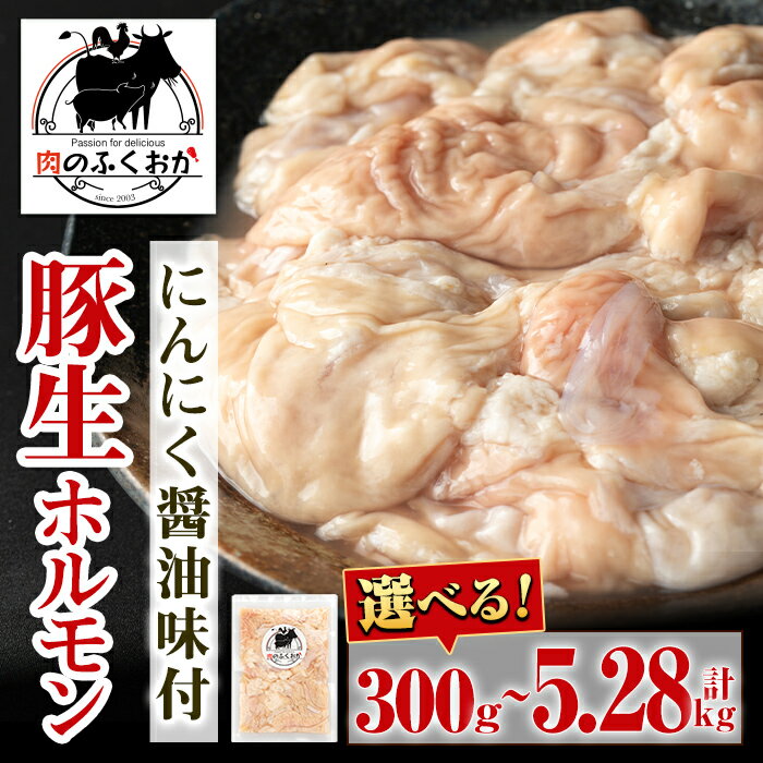 【ふるさと納税】＜選べる容量！＞豚生ホルモンにんにく醤油味付(約300g ～ 約5.28kg) 鹿児島 豚肉 ホルモン 生ホルモン にんにく 醤油 おかず 加工品 味付け 小分け パック 個包装 定期便 全3回 全6回 冷凍 冷凍食品 お弁当【肉のふくおか】
