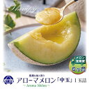 【ふるさと納税】【毎月定期便】アローマメロン白等級(中玉) 1玉 全6回【配送不可地域：離島・北海道・沖縄県】【4013017】