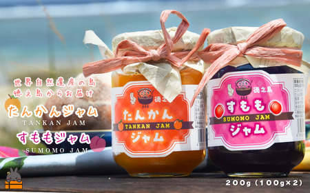 徳之島産フルーツ使用！低糖度の徳之島完熟たんかんジャム＆すももジャム（100g×2） （ たんかん すもも ジャム パン 果物 フルーツ 徳之島 奄美 鹿児島 キッチンこころ ）