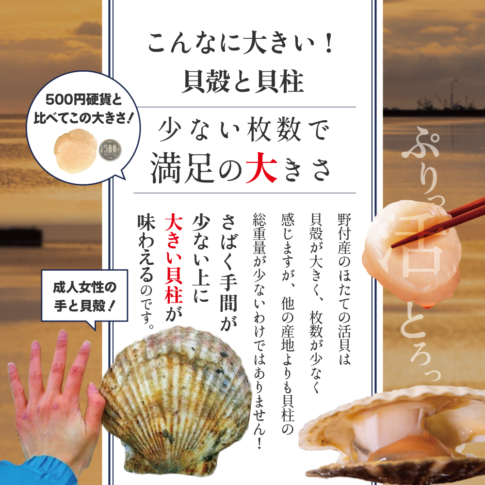 特大活ほたて ３kg相当 7〜11枚入り＜朝どり新鮮出荷!＞( ふるさと納税 ほたて 大玉 生食 活きほたて 生ホタテ 生帆立 生ホタテ貝柱 帆立貝柱 天然 冷蔵 刺身用 生 )