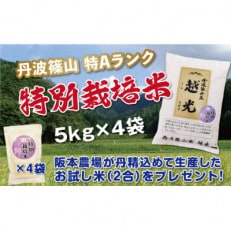 丹波篠山産　特Aランク　特別栽培米　越光(5kg×4袋　精米)