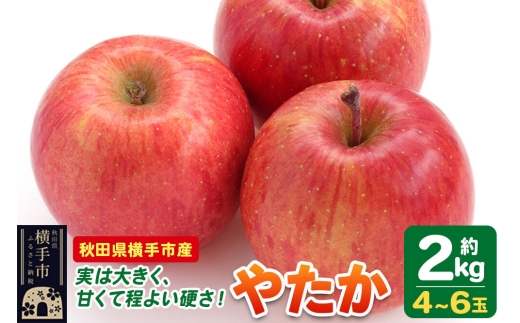 【先行受付 9月下旬より発送】りんご やたか 約2kg（4～6玉） [先行予約 りんご やたか 林檎 アップル 赤 果実 果物 フルーツ 美味 おいしい]
