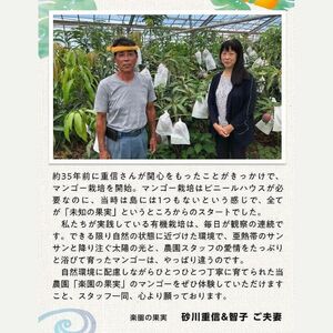 DQ021《先行予約》2026年発送 有機JAS認証マンゴー（アーウィン）わけあり 2.5kg【楽園の果実】