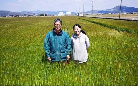 令和7年産 岡山西大寺の幸せ もち麦 (キラリモチ)  数量限定  2kg(1kg×2) | 米 米