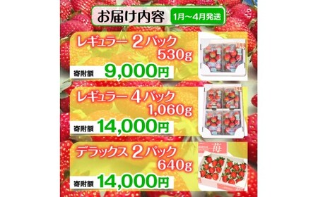 【4月発送】とちおとめ（レギュラーサイズ）4パック