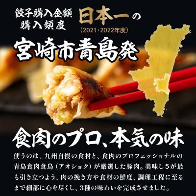 ふるさと納税 宮崎市 【発送月固定定期便】金豚中華お楽しみセット(宮崎牛すき焼き・豚・黒ゴマ、香港、しそ、にら各1)全2回 |  | 02