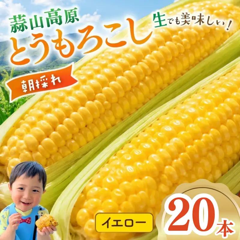 とうもろこし 蒜山高原産 朝採れイエローコーンとうもろこし20本 【jujy002-02】