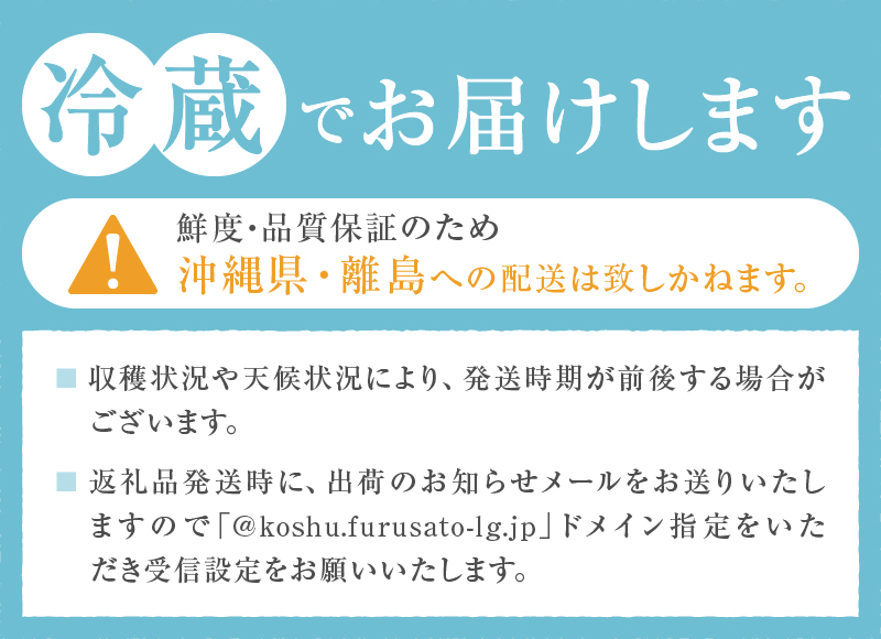 【瑞々しく滴る夢桃香ブランド】果汁たっぷり人気品種 約2kg【2025年発送】（PMK）D4-111