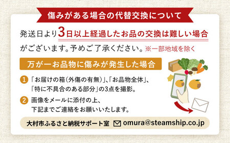 【2024年6月下旬～順次発送】 大村マンゴー 約800g (2L×2個) / 大村市 / 県央リサイクル開発[ACBC001] アップルマンゴー まんごー 南国フルーツ アップルマンゴー まんごー 