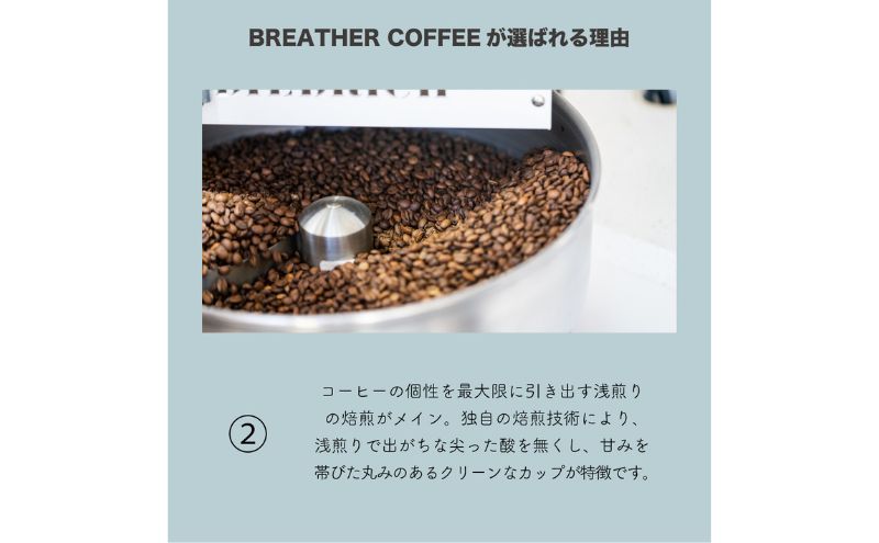 BREATHER COFFEE 珈琲飲み比べセット100g x 3袋 挽き方選択可 コーヒー 豆 極細引き エスプレッソ用 中粗挽き ペーパードリップ用 スペシャリティコーヒー　（中粗挽き）