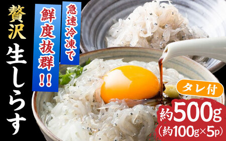 高知産「生シラス」イワシ稚魚約100g×5パック入り (タレ付) [ATBX003]