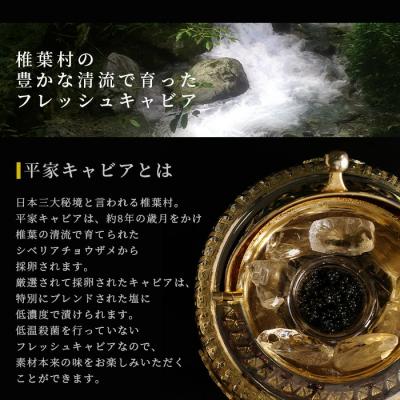 ふるさと納税 椎葉村 【日本三大秘境×世界三大珍味】キャビア焼売 8個入り×2パック&平家キャビア 5gセット |  | 02