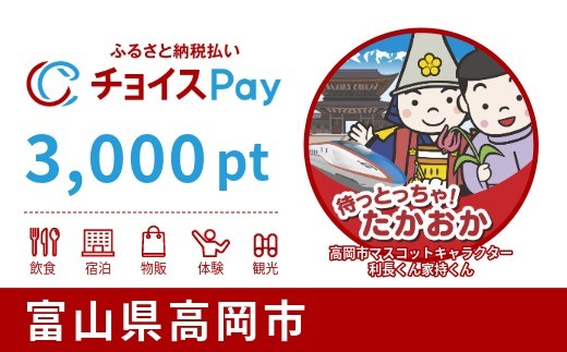 高岡市チョイスPay 3,000pt【会員限定のお礼の品】