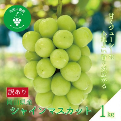 岡山　花笑み農園『訳ありシャインマスカット』1kg　WS-1【配送不可地域：離島】【1628321】