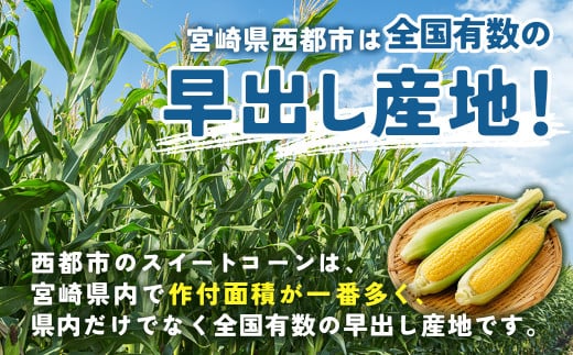 今が旬！スイートコーン【ゴールドラッシュ】18～22本 約7kg 西都市特産 とうもろこし＜1-122＞