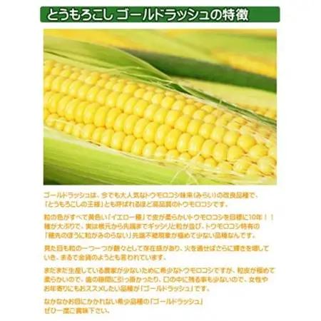 【14本】朝採れ!新鮮とうもろこし「ゴールドラッシュ」【配送不可地域：離島・北海道・沖縄県・信越、北陸・東海・近畿・中国・四国・九州】【1487257】