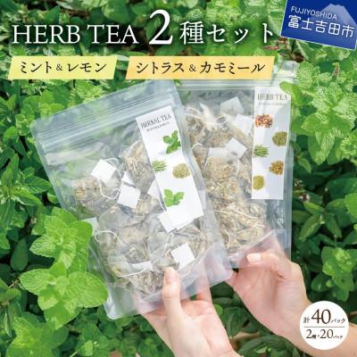 ふるさと納税 富士吉田市 ハーブティーセット(ミント&amp;レモン・シトラス&amp;カモミール)ティーバッグ　20個×2種