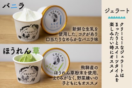 飛騨のジェラート ソルベ 6個入り詰め合わせ 野菜 スイーツ ヘルシー アイス アイスクリーム ギフト プレゼント 誕生日祝い 国産野菜 カカポ[Q773]