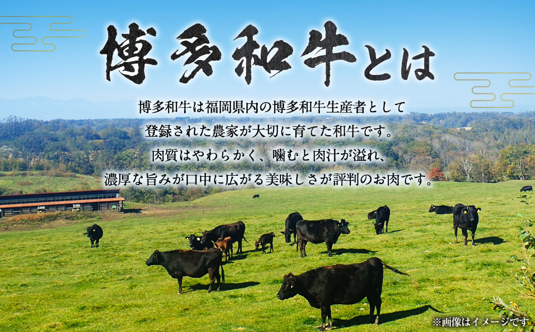 【博多和牛】テールをどーんと1kg