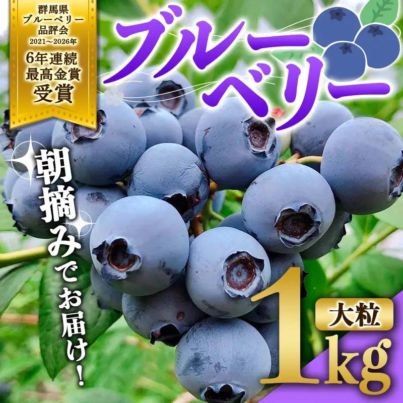 ブルーベリー大粒1kg 朝摘みでお届け！【6年連続最高金賞受賞 群馬県ブルーベリー品評会2021~2026年】 大粒 化学農薬不使用 除草剤不使用 フルーツ 果物 F4H-0684