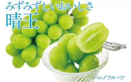 ぶどう 2024年 先行予約 シャイン マスカット 晴王 1房 約670g 晴れの国 おかやま 岡山県産 フルーツ王国 果物王国