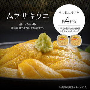 【2027年夏発送】塩水ウニ【ムラサキウニ】 100g×2パック 計200g 北海道余市町産塩水ウニ発祥の地 高級ウニ 高級雲丹 ムラサキウニ 白うに 目利き 北海道産ウニ 余市産ウニ 雲丹 うに 塩