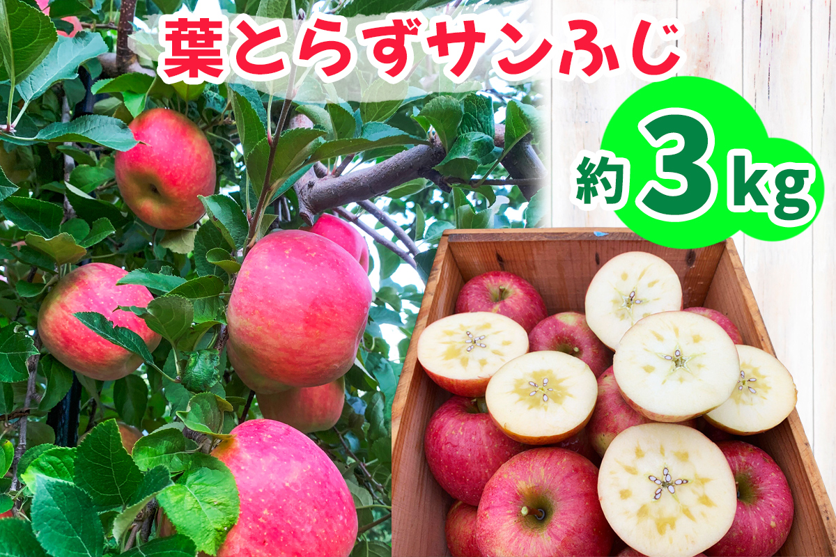 完熟！葉とらずサンふじ 3kg｜青森産 青森りんご りんご リンゴ 林檎 果物 フルーツ さんふじ サンフジ 令和7年 2025年 [0890]