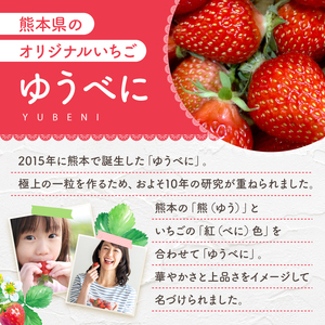 坂本いちご農園 ゆうべに 1㎏